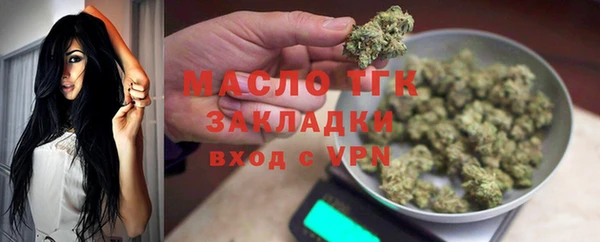 соль ск Каменка