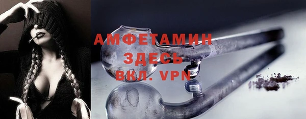 соль ск Каменка