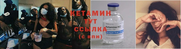 соль ск Каменка