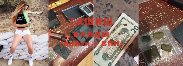 соль ск Каменка