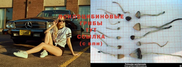 гашик Каменск-Шахтинский