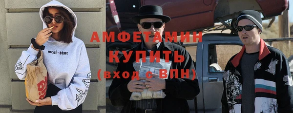 соль ск Каменка