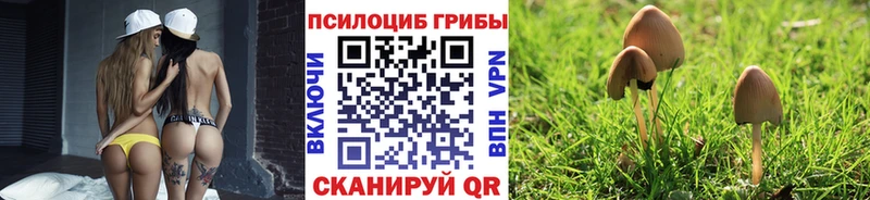 Купить  Советский  Галлюциногенные грибы мицелий 